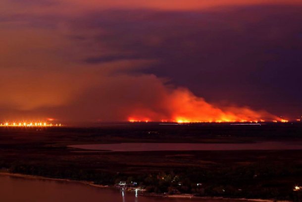 La denuncia a los ganaderos por los incendios en el Delta: "Son 100 delincuentes que nos perjudican a 5 millones de personas"