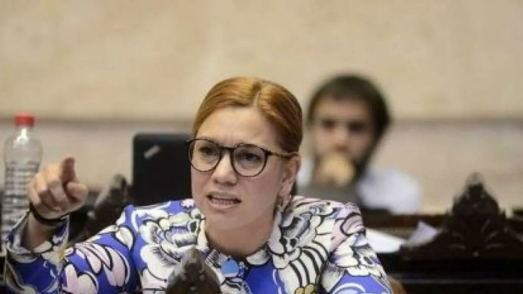 Karina Banfi: "Milei considera que hay una supremacía del Poder Ejecutivo por sobre los otros, es monárquico"