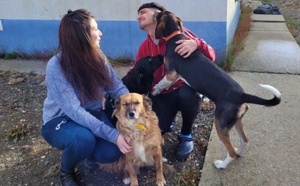 La empresa Mon Ami le pide a la legislatura que los dueños de las mascotas enfermas puedan pedir licencia en el trabajo