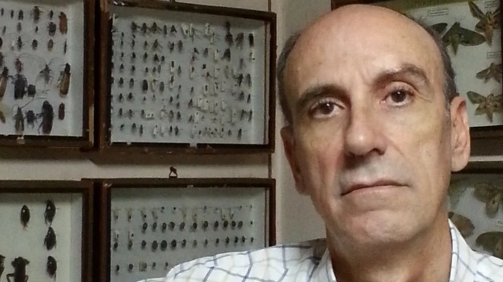 Guillermo Mariategui: "El mosquito que está circulando es el ´mosquito de inundación´”