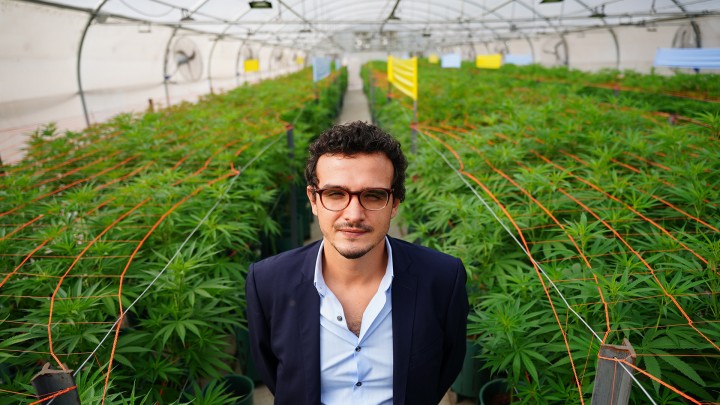 Gastón Morales: "El cannabis medicinal ocupa un lugar muy importante para el desarrollo de la provincia"