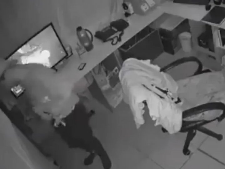 Robaron zapatillas y celulares a un cuartel de Bomberos voluntarios: &quot;Era el celular para avisar de las emergencias&quot;