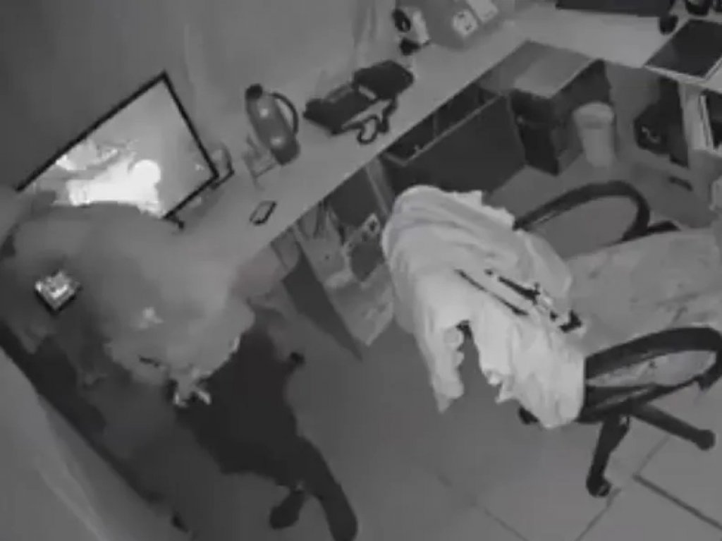 Robaron zapatillas y celulares a un cuartel de Bomberos voluntarios: "Era el celular para avisar de las emergencias"
