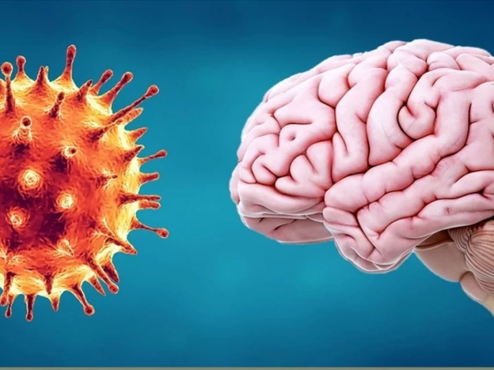 Advierten sobre un 'tsunami cerebral' causado por el coronavirus, que hasta podría derivar en esquizofrenia