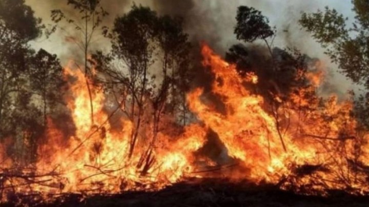 La advertencia del intendente del Parque Iberá en Corrientes: “Hay que prevenir, porque después se hace imposible apagar estos incendios”