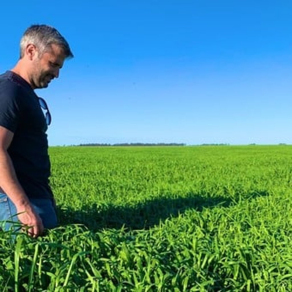 Diego Sallaberry: &quot;Toda la tecnología que aplicamos a la agricultura también lo hacemos en la ganadería&quot;