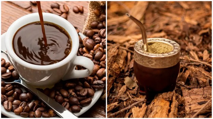 Martin Giannini: &quot;El mate es más perjudicial que el café&quot;