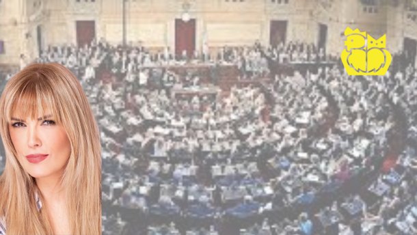 Editorial de Viviana Canosa: Los cómplices de la corrupción