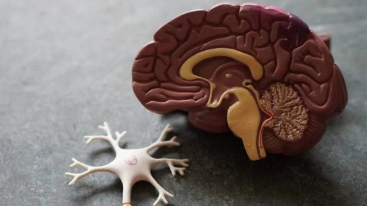Aprueban una prometedora droga para tratar el Alzheimer en su estadío inicial