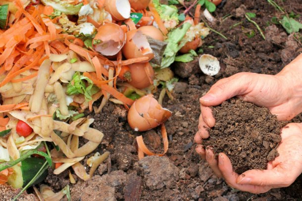 Lorena Tanferna: "El compost se realiza con restos orgánicos de comida"