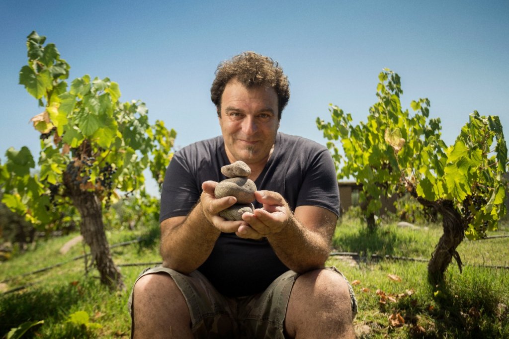 Alejandro Vigil: "La vinicultura es una forma de vida"