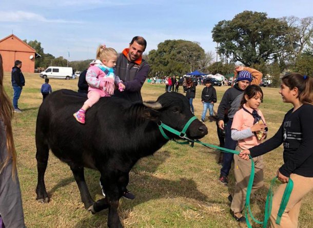 Impulsó la búfalo - terapia en Argentina: "Son animales muy inteligentes, muy tiernos y que te devuelven lo que le das"