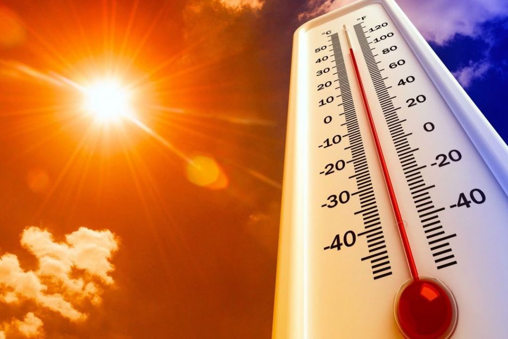 Sugerencias para afrontar la ola de calor