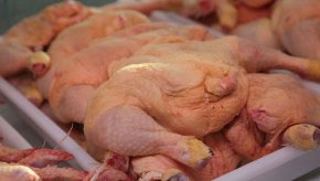 Roberto Domenech: “El precio del pollo está entre 360 y 380 pesos el kilo”