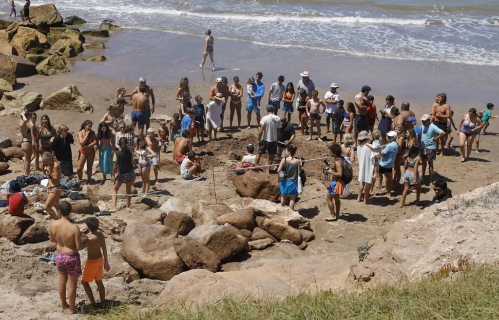 Increíble hallazgo en Chapadmalal: tres gliptodontes de hasta 3 metros y medio de largo