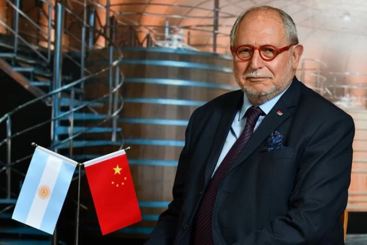 Diego Guelar: "Las carencias han sido una característica del régimen cubano y la gente se tenía que expresar"