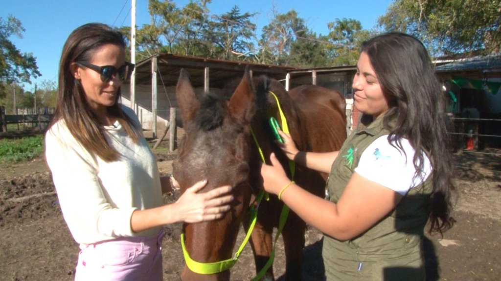 Florencia Sampietro: &quot;Rescatamos los caballos que son descartados por diversos motivos y los que van a faena&quot;