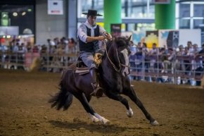 Hoy comenzó la 20° edición de «Nuestros Caballos» en La Rural de Palermo