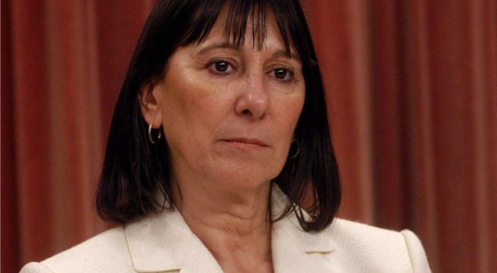 Felisa Miceli: "Hay que trabajar para modificar la brecha cambiaria"