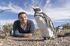 El argentino premiado en el mundo por salvar pingüinos: “La naturaleza nos mantiene vivos, a veces olvidamos cuánto la necesitamos”