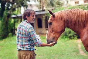 Diego D'angelo: "Cuando el caballo siente que lo entendés, te entrega la vida"