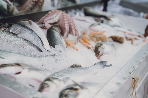Vicente Mellino: El precio del pescado aumento durante el año 100%. La venta se mantiene
