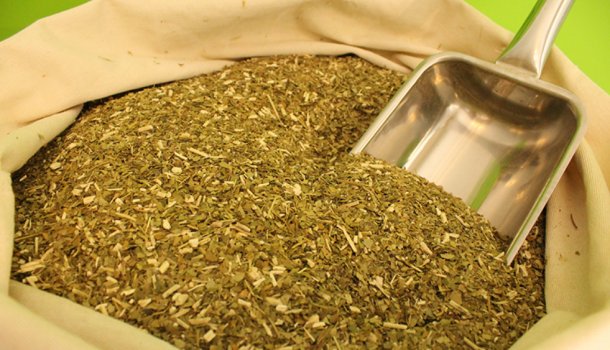 Maximiliano Costa: "Nuestro proyecto bandera es regenerar el monte de la yerba mate en Uruguay"