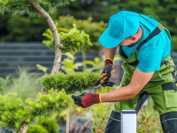 La historia de un jardinero que la luchó y ahora busca empleados para su emprendimiento: "Siempre supe que la salida era el trabajo"