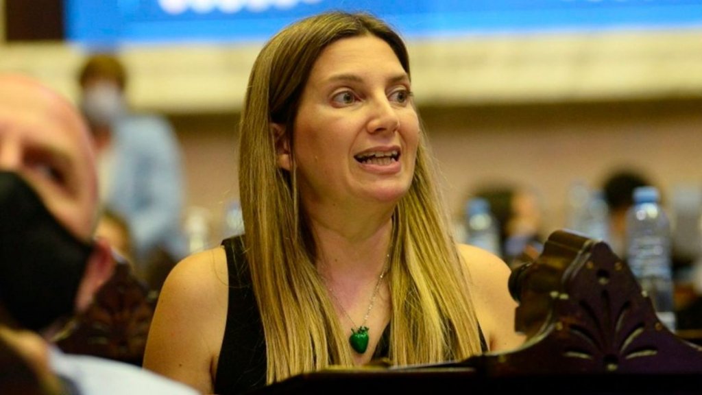Silvia Lospennato: "El que no vote a favor de Ficha Limpia le da impunidad a Cristina Kirchner"