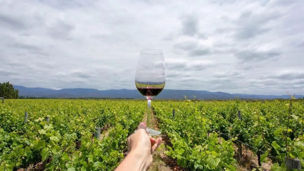 Por las heladas en Mendoza puede llegar a faltar el vino y a subir el precio