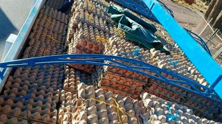 Javier Prida: &quot;Increíble: Hay contrabando de huevos&quot;