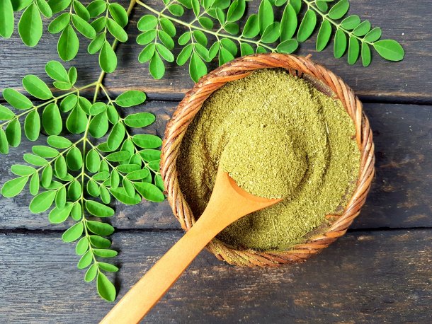 Ethel Noemi Coscarello: "La moringa tiene muchos nutrientes"