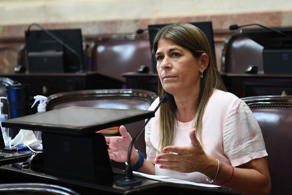 Guadalupe Tagliaferri: &quot;Trabajamos para un Congreso de cara a la gente y no para la agenda judicial de Cristina&quot;